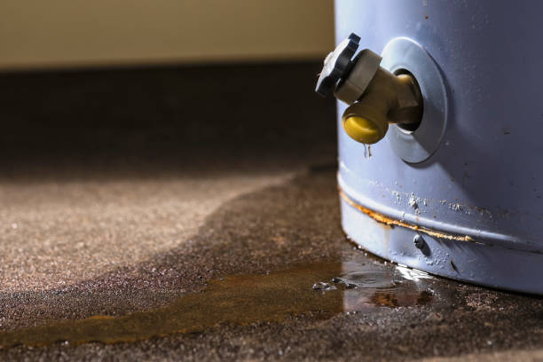 Best Mold removal after water damage  in Emerald Lake Hills, CA