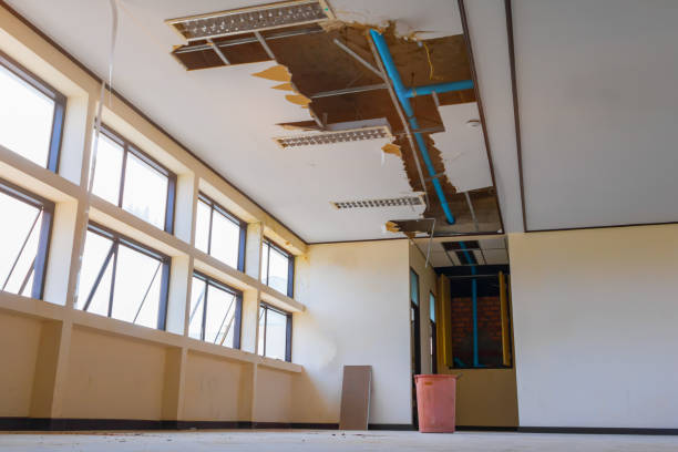 Best Fire Damage Restoration  in Emerald Lake Hills, CA