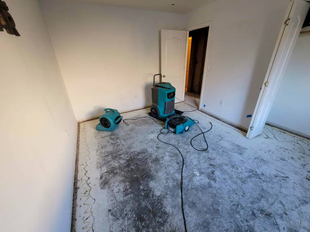 Best Basement water damage restoration  in Emerald Lake Hills, CA