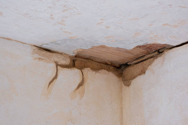Best Carpet water damage restoration  in Emerald Lake Hills, CA