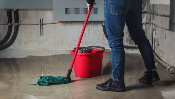 Best Water damage restoration near me  in Emerald Lake Hills, CA