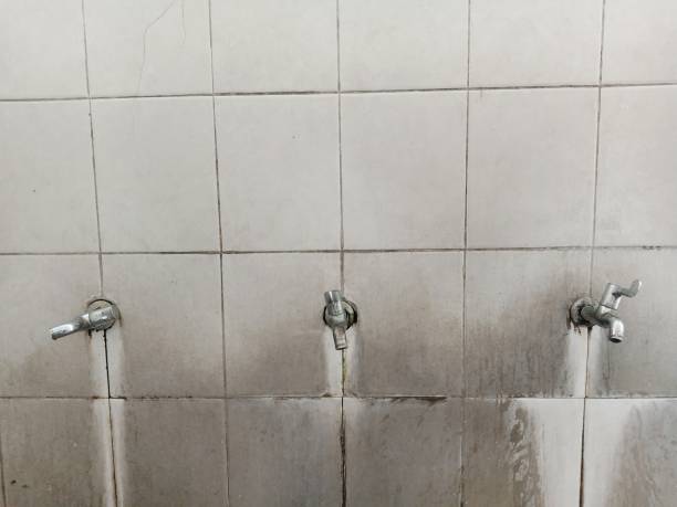 Best Local water damage restoration  in Emerald Lake Hills, CA