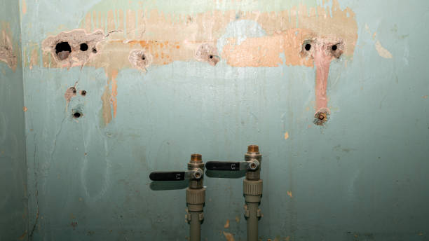 Best Water damage cleanup near me  in Emerald Lake Hills, CA