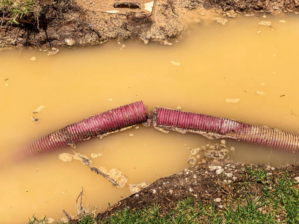 Best Water damage contractors near me  in Emerald Lake Hills, CA