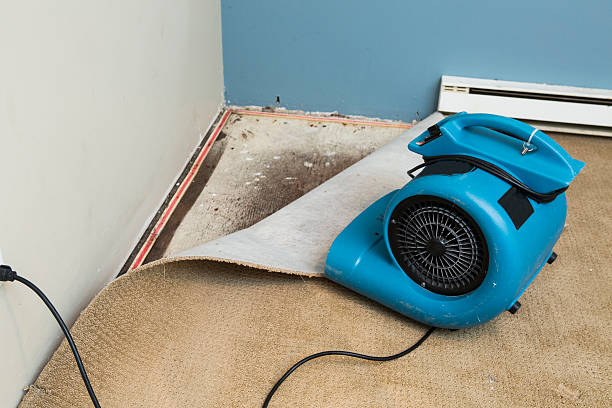 Best Emergency water damage restoration  in Emerald Lake Hills, CA